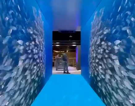 Sharjah Fish Resources Authority